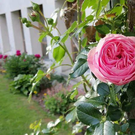 Hotel Restaurant Knobelboden Oberterzen