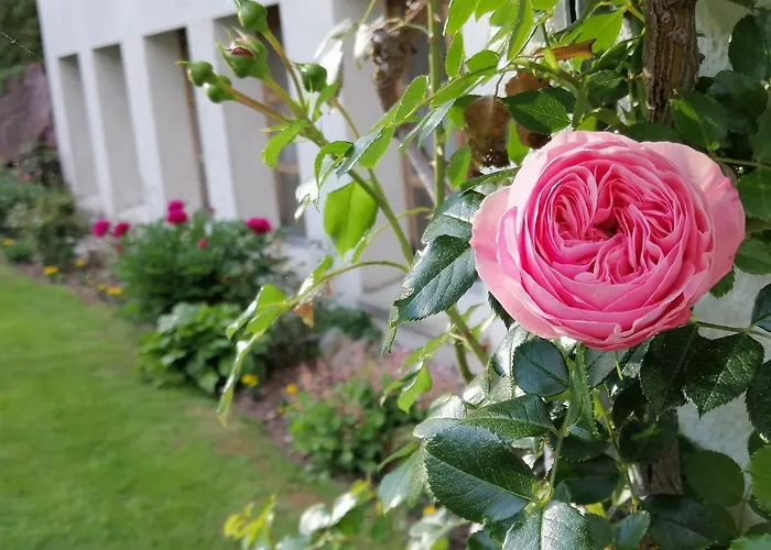 Hotel Restaurant Knobelboden Oberterzen