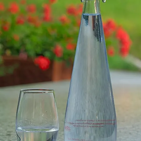 Hotel Restaurant Knobelboden Oberterzen