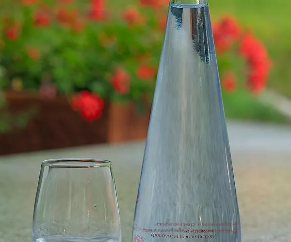 Hotel Restaurant Knobelboden Oberterzen